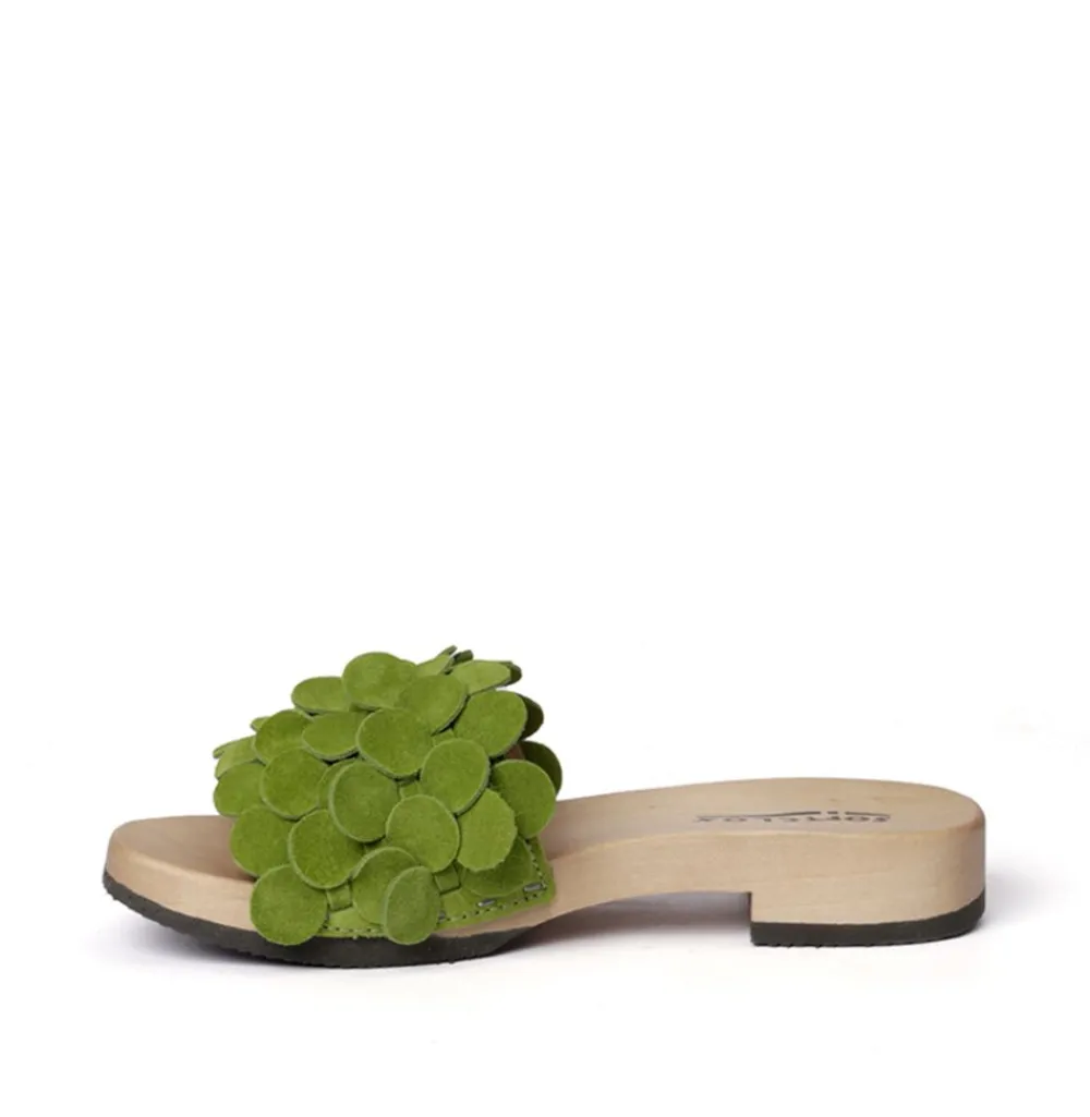 Bella Cashmere Kiwi (Hazelnut)<SOFTCLIX Online
