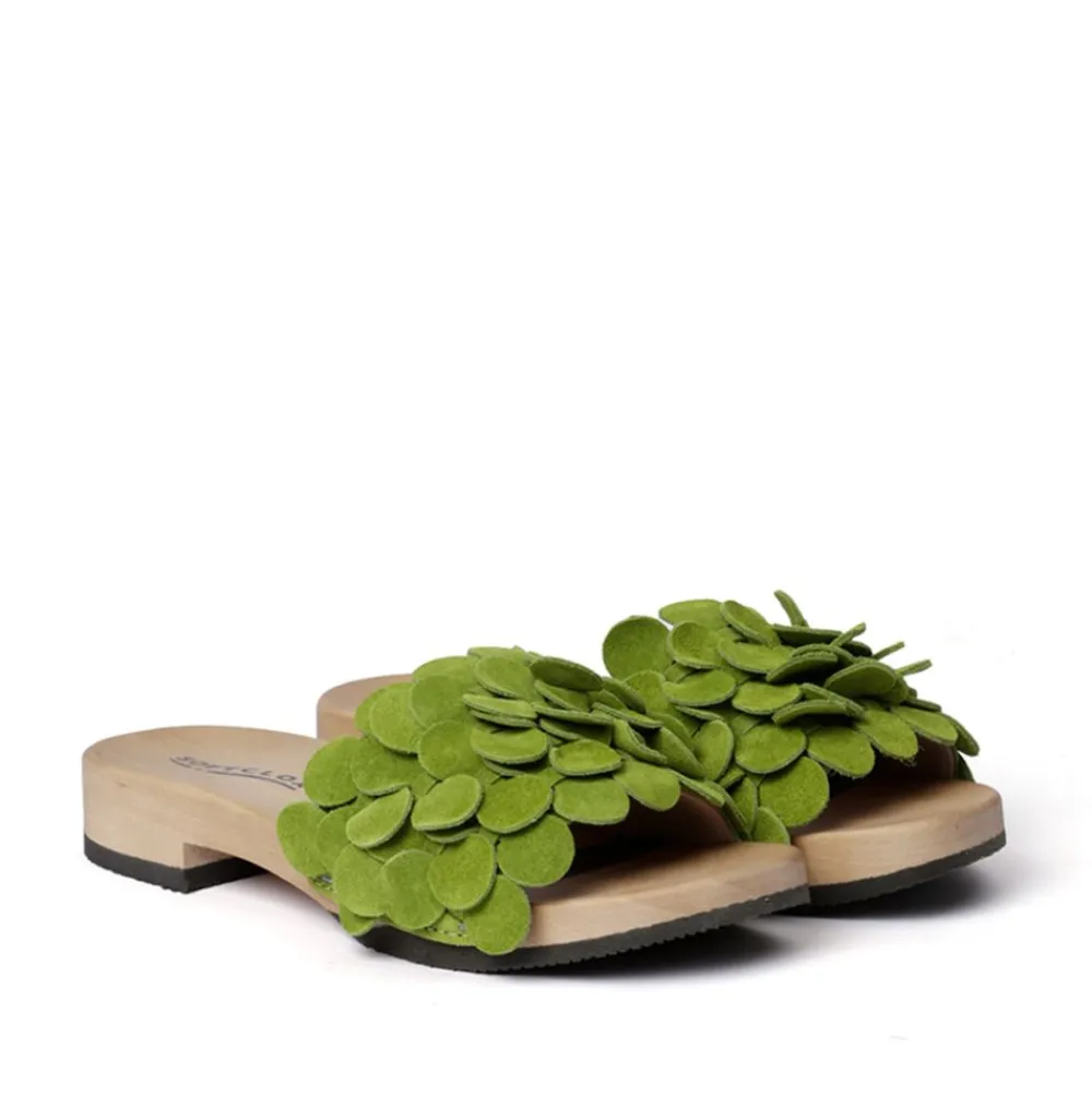 Bella Cashmere Kiwi (Hazelnut)<SOFTCLIX Online