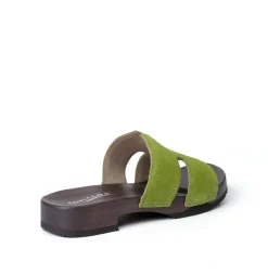 Blida Cashmere Kiwi (Dark)<SOFTCLIX Store