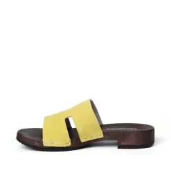 Blida Cashmere Sunlight (Dark)<SOFTCLIX Hot