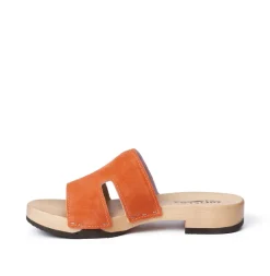 Blida Cashmere Tropic (Hazelnut)<SOFTCLIX Store