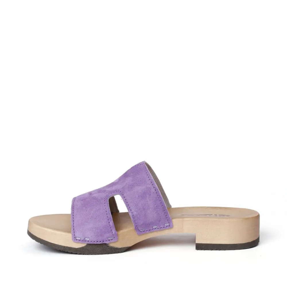 Blida Cashmere Violet (Hazelnut)<SOFTCLIX Best