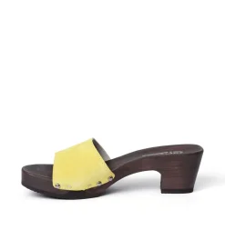Kelly Cashmere Sunlight (Dark)<SOFTCLIX New