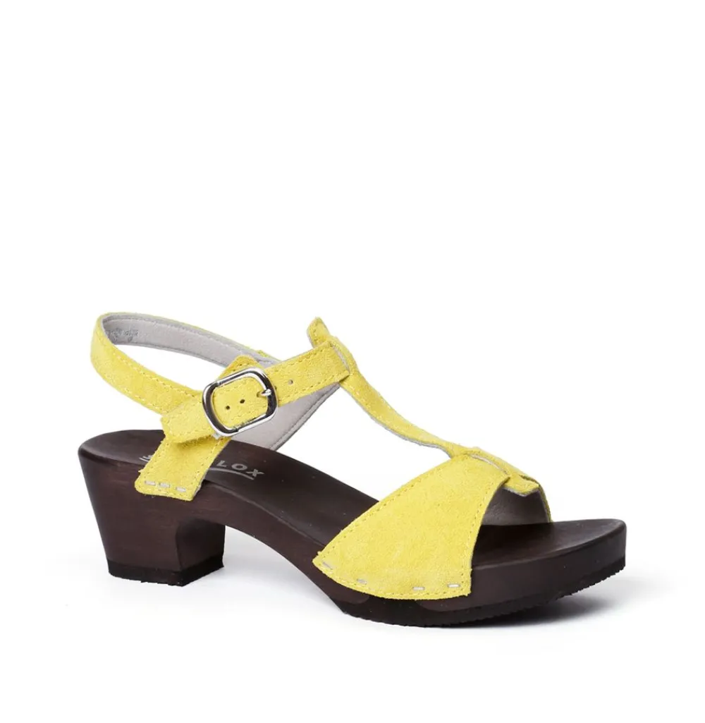 Koko Cashmere Sunlight (Dark)<SOFTCLIX Shop