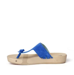 Lola Cashmere Blue Orchid (Nature)<SOFTCLIX Online
