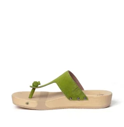Lola Cashmere Kiwi (Nature)<SOFTCLIX Best