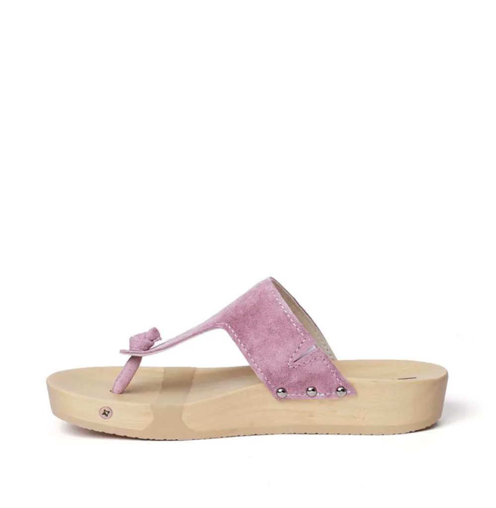 Lola Cashmere Purple (Nature)<SOFTCLIX Sale